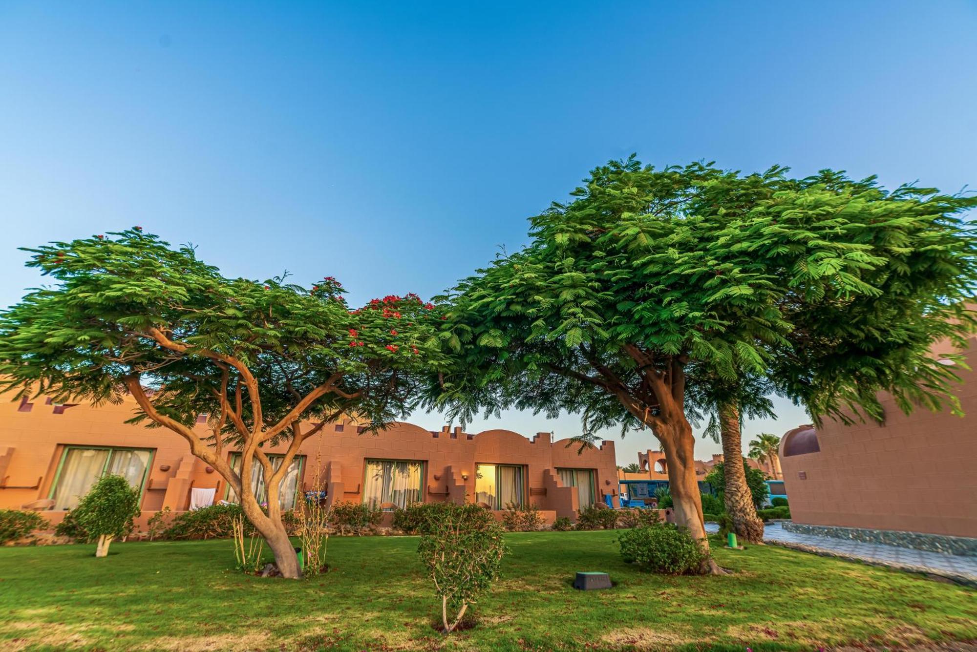 Akassia Swiss Resort El Qoseir Εξωτερικό φωτογραφία